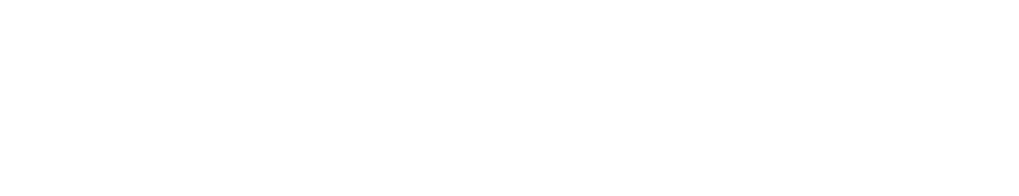Rocket Local Logo